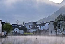 深圳各区茶馆茶艺师风采访谈录